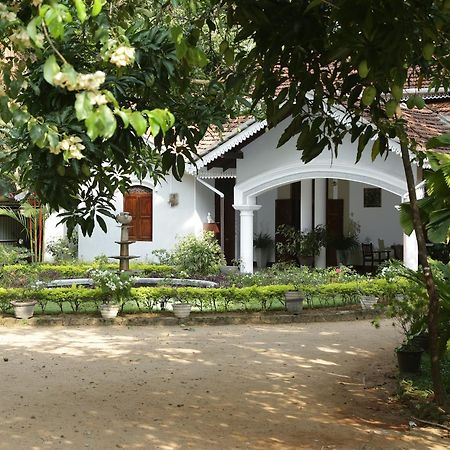 Kithulvilla Holiday Bungalow Kitulgala Exterior foto